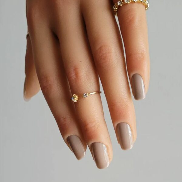 Desert Rose - Image 3