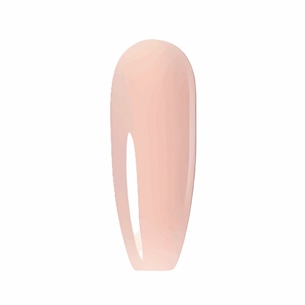 Sheer Flirt - Image 4