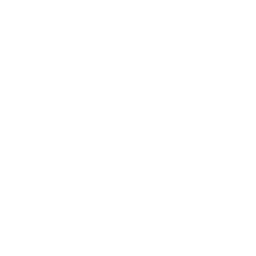 100% secure payment