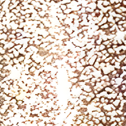 Glitter
